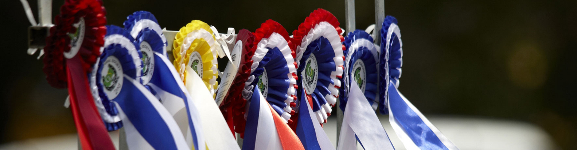 An image of a horse taking part in an event